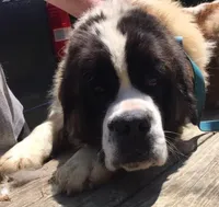 processed/84efe27f-dfdf-4497-bb0d-ffcaf6013a5f/facility/27847314-142e-44b7-b964-16d563f8e290