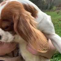 processed/84efe27f-dfdf-4497-bb0d-ffcaf6013a5f/facility/68b3fe5d-bbf4-4143-a583-b4ca52175889