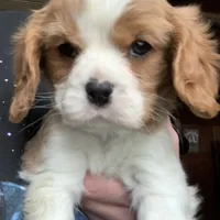 processed/84efe27f-dfdf-4497-bb0d-ffcaf6013a5f/facility/94838141-c9a3-4e9d-ac52-1635a5f9e4f0