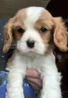 processed/84efe27f-dfdf-4497-bb0d-ffcaf6013a5f/facility/94838141-c9a3-4e9d-ac52-1635a5f9e4f0