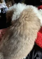 processed/84efe27f-dfdf-4497-bb0d-ffcaf6013a5f/facility/9aa269aa-92e5-4726-a713-a0348d18a8d6