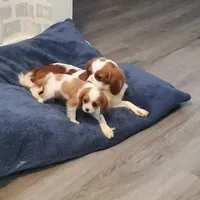 processed/84efe27f-dfdf-4497-bb0d-ffcaf6013a5f/facility/b8a0455c-3d4b-451f-b0df-d0a1d43184f5