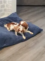 processed/84efe27f-dfdf-4497-bb0d-ffcaf6013a5f/facility/b8a0455c-3d4b-451f-b0df-d0a1d43184f5