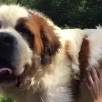 processed/84efe27f-dfdf-4497-bb0d-ffcaf6013a5f/facility/c59c7750-6345-4069-af2c-e0ce9120f4a6