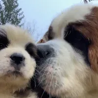 processed/84efe27f-dfdf-4497-bb0d-ffcaf6013a5f/facility/e10d9c5e-5647-40be-8850-a439e09254c2