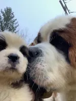 processed/84efe27f-dfdf-4497-bb0d-ffcaf6013a5f/facility/e10d9c5e-5647-40be-8850-a439e09254c2