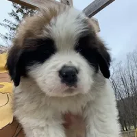 processed/84efe27f-dfdf-4497-bb0d-ffcaf6013a5f/facility/ea66dfe0-4a0a-4941-b253-210e84e1c958