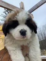 processed/84efe27f-dfdf-4497-bb0d-ffcaf6013a5f/facility/ea66dfe0-4a0a-4941-b253-210e84e1c958