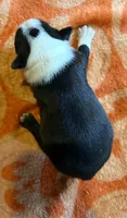 Tinker Belle , a male Boston Terrier for sale in Binghamton, NY – 2 of 4
