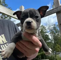 processed/84efe27f-dfdf-4497-bb0d-ffcaf6013a5f/listing/dd99050f-c897-428f-af04-5912d424819c/0e6a0190-3634-4110-a531-53b87b7aa252