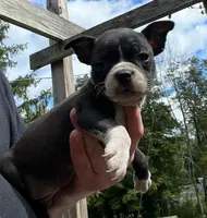 processed/84efe27f-dfdf-4497-bb0d-ffcaf6013a5f/listing/dd99050f-c897-428f-af04-5912d424819c/3ac98d2c-eaef-49c2-936e-deb381b00b1c