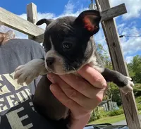 processed/84efe27f-dfdf-4497-bb0d-ffcaf6013a5f/listing/dd99050f-c897-428f-af04-5912d424819c/79989ebc-f280-411d-8a6b-988fc2d19343