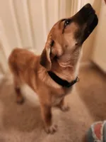 processed/84fd562d-076d-460e-b264-3d0b3adbfffd/listing/26f37f9f-cc72-48d4-9dfe-27d55a253f0a/14e90ec9-16b2-4701-aafd-99588b41a833