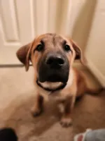 processed/84fd562d-076d-460e-b264-3d0b3adbfffd/listing/26f37f9f-cc72-48d4-9dfe-27d55a253f0a/f165a8e8-4a10-4791-a663-69b3b4661ed3