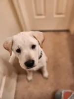 processed/84fd562d-076d-460e-b264-3d0b3adbfffd/listing/82032749-6945-4863-b0bb-a314334ba9c0/f131d6e9-03fd-4df5-a3fe-62907e8ca47b