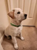 processed/84fd562d-076d-460e-b264-3d0b3adbfffd/listing/82032749-6945-4863-b0bb-a314334ba9c0/f4b3cc29-8174-4e6d-9213-97de2805bd7d