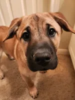 processed/84fd562d-076d-460e-b264-3d0b3adbfffd/listing/c0da15c9-12c5-413f-9592-01eaf16ea131/4e34805d-aacc-4372-9b0d-1052f64d7084