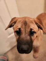 processed/84fd562d-076d-460e-b264-3d0b3adbfffd/listing/c0da15c9-12c5-413f-9592-01eaf16ea131/b8ed5d56-4e9f-4ddb-982d-a38bc9246248