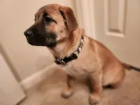 processed/84fd562d-076d-460e-b264-3d0b3adbfffd/listing/c2319689-1a9b-4960-8fbb-b7507e964973/4fd51a61-6e9e-485a-94e7-5dfc67a1c88e