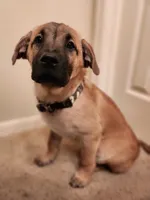 processed/84fd562d-076d-460e-b264-3d0b3adbfffd/listing/c2319689-1a9b-4960-8fbb-b7507e964973/9161755a-c8ed-4ef1-971d-827b957dc1f2