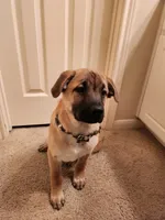 processed/84fd562d-076d-460e-b264-3d0b3adbfffd/listing/c2319689-1a9b-4960-8fbb-b7507e964973/9254ce0d-bba4-43a0-bc78-74c368099ff9