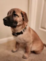 processed/84fd562d-076d-460e-b264-3d0b3adbfffd/listing/c2319689-1a9b-4960-8fbb-b7507e964973/c1e00b24-08a8-483d-b341-af4015a716df