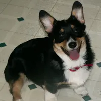 processed/8504337f-4e38-4f2a-96bf-0367304c1186/facility/1b47b40e-4283-4c43-b748-b8d9b6c79a75