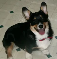 processed/8504337f-4e38-4f2a-96bf-0367304c1186/facility/1b47b40e-4283-4c43-b748-b8d9b6c79a75