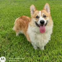 processed/8504337f-4e38-4f2a-96bf-0367304c1186/facility/3ae575d4-d843-485d-a56f-942af8afcd04