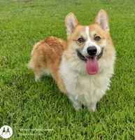 processed/8504337f-4e38-4f2a-96bf-0367304c1186/facility/3ae575d4-d843-485d-a56f-942af8afcd04