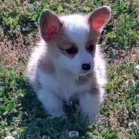 processed/8504337f-4e38-4f2a-96bf-0367304c1186/facility/3f112f54-479e-41f8-bf5b-f29b2a0332f0