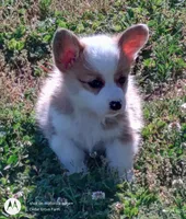 processed/8504337f-4e38-4f2a-96bf-0367304c1186/facility/3f112f54-479e-41f8-bf5b-f29b2a0332f0