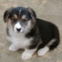 processed/8504337f-4e38-4f2a-96bf-0367304c1186/facility/59a50394-cf45-4621-ad6e-1f0cc0dac02e