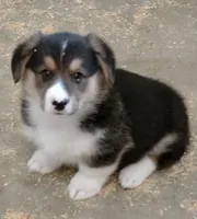 processed/8504337f-4e38-4f2a-96bf-0367304c1186/facility/59a50394-cf45-4621-ad6e-1f0cc0dac02e