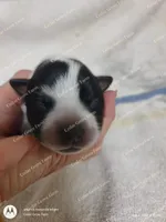 processed/8504337f-4e38-4f2a-96bf-0367304c1186/listing/031faf29-81ba-4b0b-a383-31e71e43df92/44e15ef5-f071-4c7f-9825-46799ae4fff6