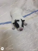 processed/8504337f-4e38-4f2a-96bf-0367304c1186/listing/ddad51ff-fc00-49ae-9621-6996345f7163/b2ffc5df-1a18-4f74-811c-b99124c1e9ea