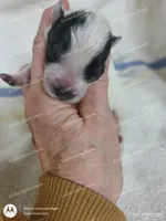 processed/8504337f-4e38-4f2a-96bf-0367304c1186/listing/ef00ba5c-d446-4f48-b0ba-5d7b8234d021/a1f26f0b-b971-468b-8aa7-463143722cf8