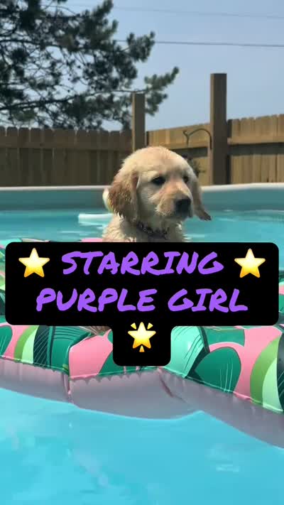 Facility video