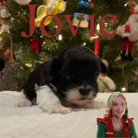 processed/850fb850-3e60-44a2-988c-47dacb12c12a/facility/1d59fa05-fa55-4584-aa82-2967bbf3d1e8