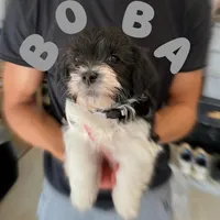 processed/850fb850-3e60-44a2-988c-47dacb12c12a/facility/261b8ee4-4b9d-4e0a-8e60-3ebcc3f50807