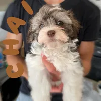 processed/850fb850-3e60-44a2-988c-47dacb12c12a/facility/405b1d66-17ad-4a01-a18e-a1a749d73c81