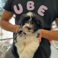 processed/850fb850-3e60-44a2-988c-47dacb12c12a/facility/a61e8146-c8f1-46ef-8cf9-b3531bc49018