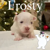 processed/850fb850-3e60-44a2-988c-47dacb12c12a/facility/b0c71f15-e47f-48fb-bb62-11417042d218