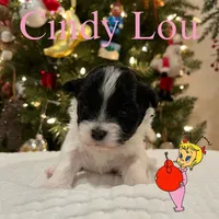 processed/850fb850-3e60-44a2-988c-47dacb12c12a/facility/b74abfb3-f06d-4edc-aa2f-308f1643c398