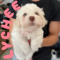 processed/850fb850-3e60-44a2-988c-47dacb12c12a/facility/bebe4289-fa27-49e1-83b3-5683049f3322