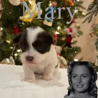 processed/850fb850-3e60-44a2-988c-47dacb12c12a/facility/d6cd1a67-699e-47f6-a98e-c7e3e81abd25