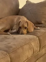 processed/85120a3a-6a8d-41f6-8f7a-215a7f7f79fa/listing/4294b3e6-a335-4a9d-a1c4-6b08e650163f/bc00f372-c763-44fa-83c6-e1c00ab790a4