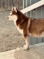 processed/85238dee-0d88-443b-97a5-66679399dba3/facility/c35744a4-b649-4f34-acd1-1483cb9a9769