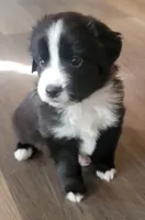 processed/8524d21c-1d6a-4ccd-a3c9-40d7e53756de/listing/9a5f06b9-1bd9-4f5d-a2a4-f939bc6604de/18e58308-7f42-452c-a5f7-57097d0d3fa7