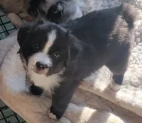 processed/8524d21c-1d6a-4ccd-a3c9-40d7e53756de/listing/9a5f06b9-1bd9-4f5d-a2a4-f939bc6604de/1dd71bce-77d1-45d0-83f2-211a4c08c27e